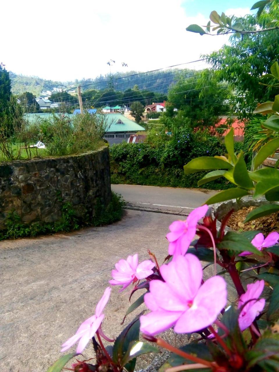 Nuwara Eliya Mountain View Homestay Экстерьер фото